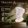 thumbnail image 2 of Maceta Grande Cabeza Griega David De Cerámica Esmaltada, 2 of 5