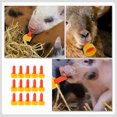 thumbnail image 4 of MasteelfCA 20pcs Livestock Feeding Bottle Pacifier Milk Bottles Nipples Lamb Feeding Tools, 4 of 8
