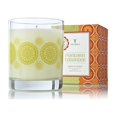 thumbnail image 1 of Thymes Mandarin Coriander Poured Candle 8oz, 1 of 1