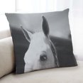 thumbnail image 1 of Ahgly Company Animals Horse Coussin Intérieur, 18 Pouces par 18 Pouces, 1 of 6