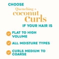 thumbnail image 2 of OGX Quenching + Coconut Curls, Moisturizing Conditioner for Curly Hair, Detangling, Curl Enhancing, 25.4 fl oz, 2 of 8