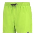 thumbnail image 3 of Regatta Mens Mawson II Swim Shorts, 3 of 5