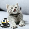 thumbnail image 4 of FlareFable Collar Cat Adjustable Calming Collars, Calming Collar for Cats, Cat Anxiety Relief Collar, Prevention and Protection for Cats with Long-lasting Effect, Up to 14.96" Neck, 4 of 9