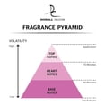 thumbnail image 3 of Perfume Dorall Collection Islanders Eau de Toilette para hombre, 100 ml, 3 of 5