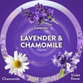thumbnail image 5 of Air Wick Plug In Scented Oil Refill Lavender & Chamomile Air Freshener, 2 Count, 5 of 15