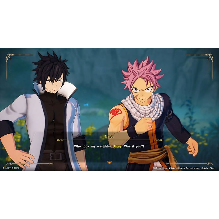FAIRY TAIL 2, Nintendo Switch - Walmart.com