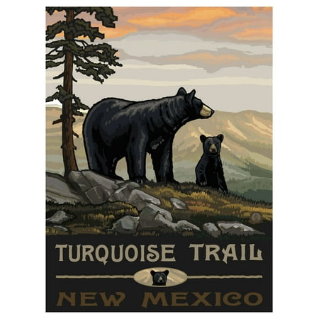 - Turquoise Trail New Mexico Travel Art Print Poster by Paul A. Lanquist (9