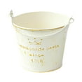 thumbnail image 1 of koolsoo Metal Hanging Flower Pot Multipurpose Rustic Plant Pot for Table Centerpiece Crown Pattern, 1 of 9