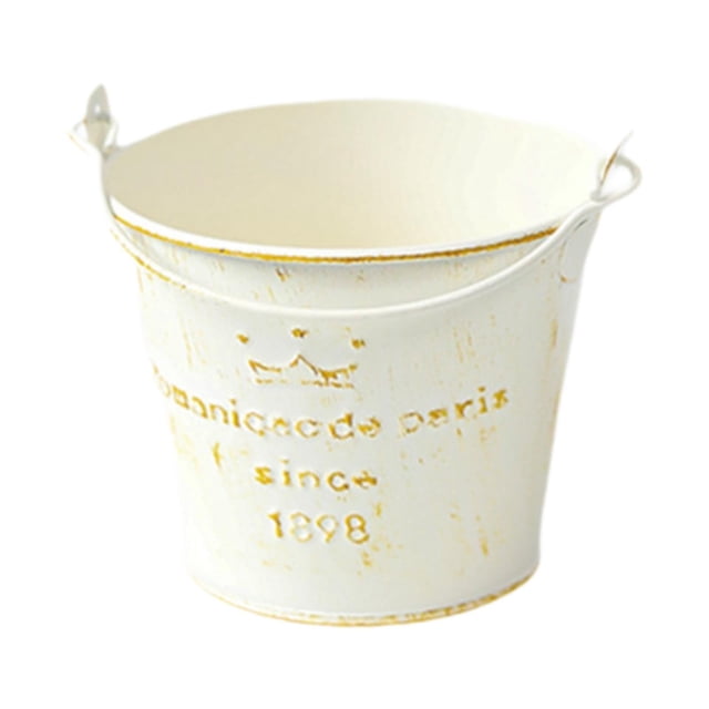 koolsoo Metal Hanging Flower Pot Multipurpose Rustic Plant Pot for Table Centerpiece Crown Pattern