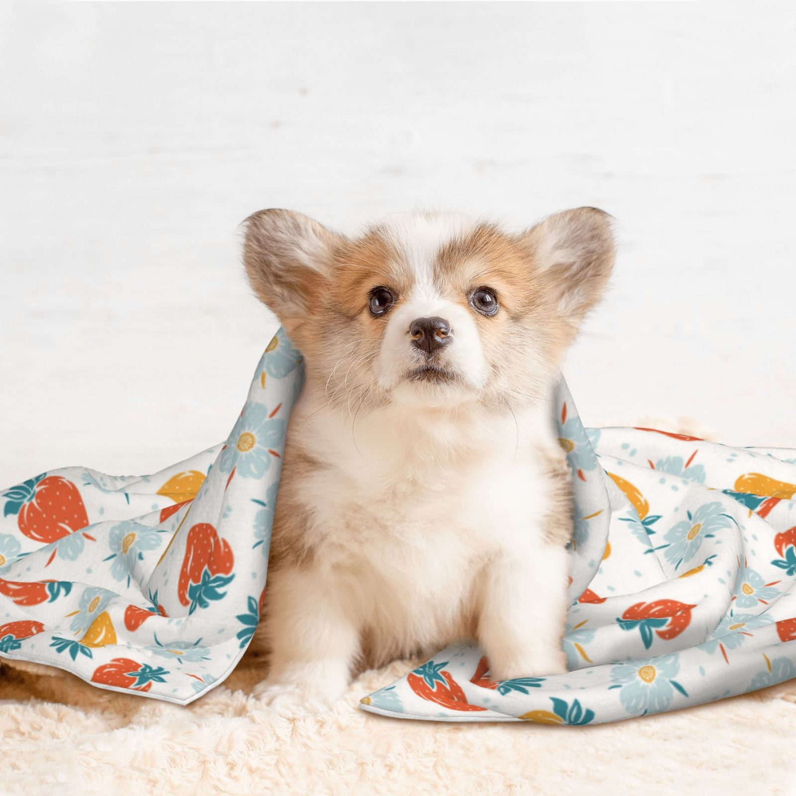 Naloa Floral Strawberr Dog Blanket, 3 Sizes Cat Blanket for Indoor Cats Large Medium Small Dog Gifts-Small