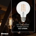 thumbnail image 4 of Bulbrite 862850 2700K 1400 Lumen 13 watt LED Filament Dimmable G25 Light Bulbs with a Clear & Medium E26 Base, Warm White - Pack of 4, 4 of 5