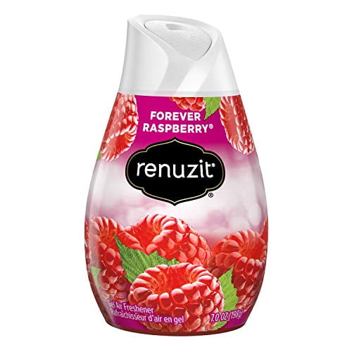 Renuzit Adjustables Gel Air Freshener, Raspberry, 7 oz, 2 Pack