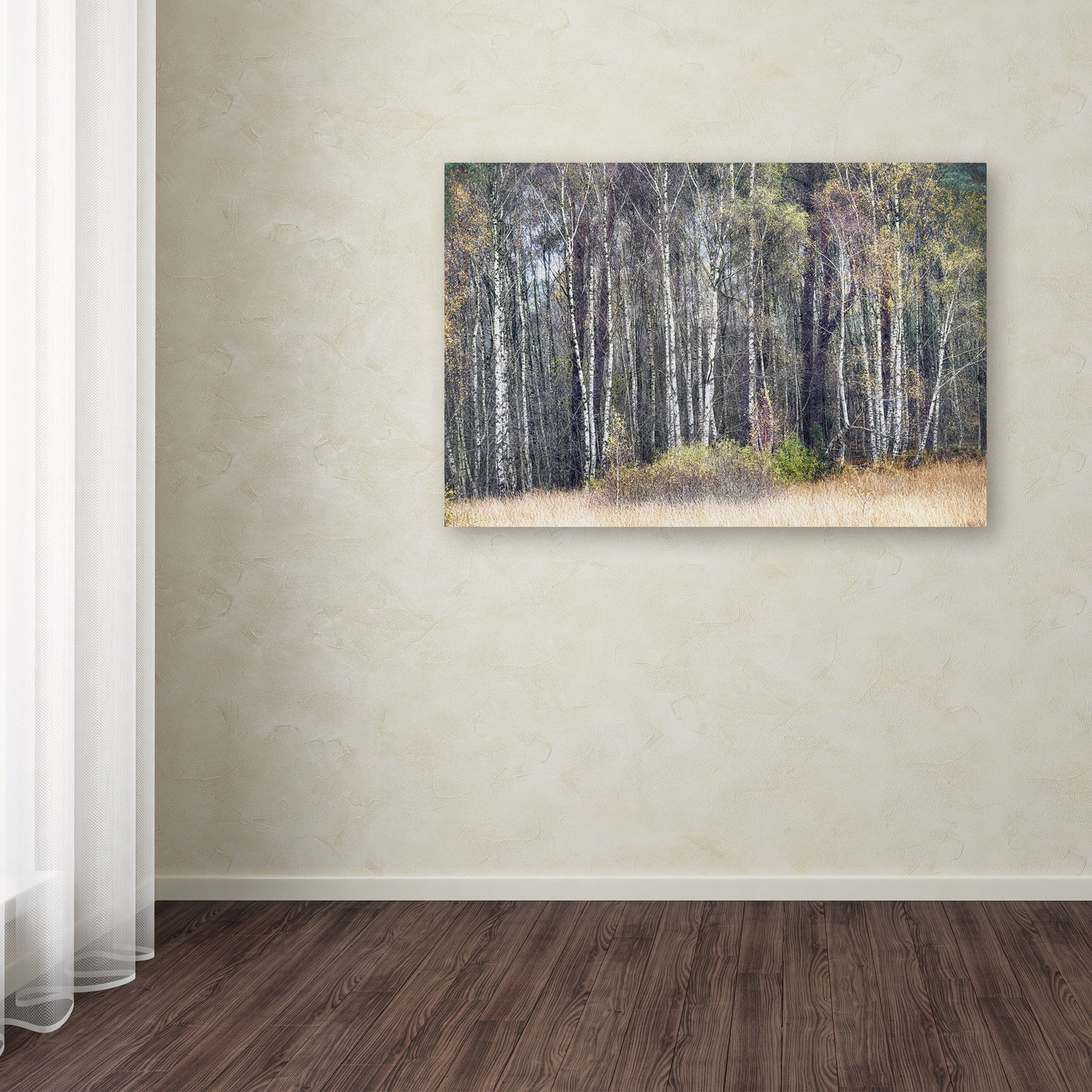 Trademark Fine Art 'Birches' Canvas Art by Cora Niele