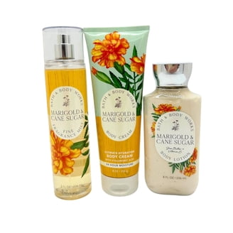Chocolate Amber Gift Set By Bath + Body Works - Full Size