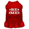 thumbnail image 6 of Pet Dog  Cat Dress Screen Printed, "Be Thankful For Me", 6 of 10