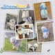 thumbnail image 4 of Conjunto de arnés y correa para perros con lazo, arnés y correa a cuadros clásicos, anilla en D para perros y gatos pequeños (azul S (recomendado para mascotas de 3 a 5 gatos)), 4 of 5