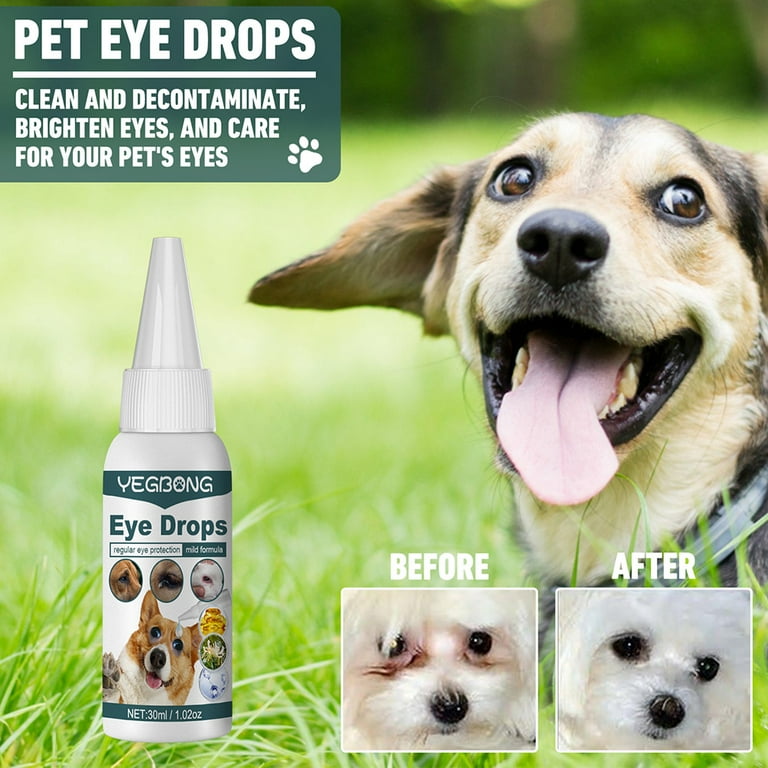 K9 2025 eye drops
