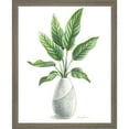 thumbnail image 1 of Great Art Now Potted Exotics IV by Kelsey Wilson, Framed Wall Art, 13W x 16H, 1 of 2