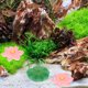 thumbnail image 3 of 12 unids Exquisito Fish Tank Decor Micro-Landscape Aquarium Decor (color surtido), 3 of 4