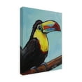 thumbnail image 2 of Trademark Fine Art 'Toucan On Tree Branch' Canvas Art by Hippie Hound Studios, 2 of 4