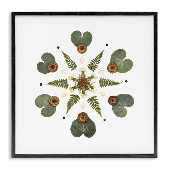 Stupell Industries Lily Pad & Fern Mandala Black Framed Giclee Art, design by Beth Adoette