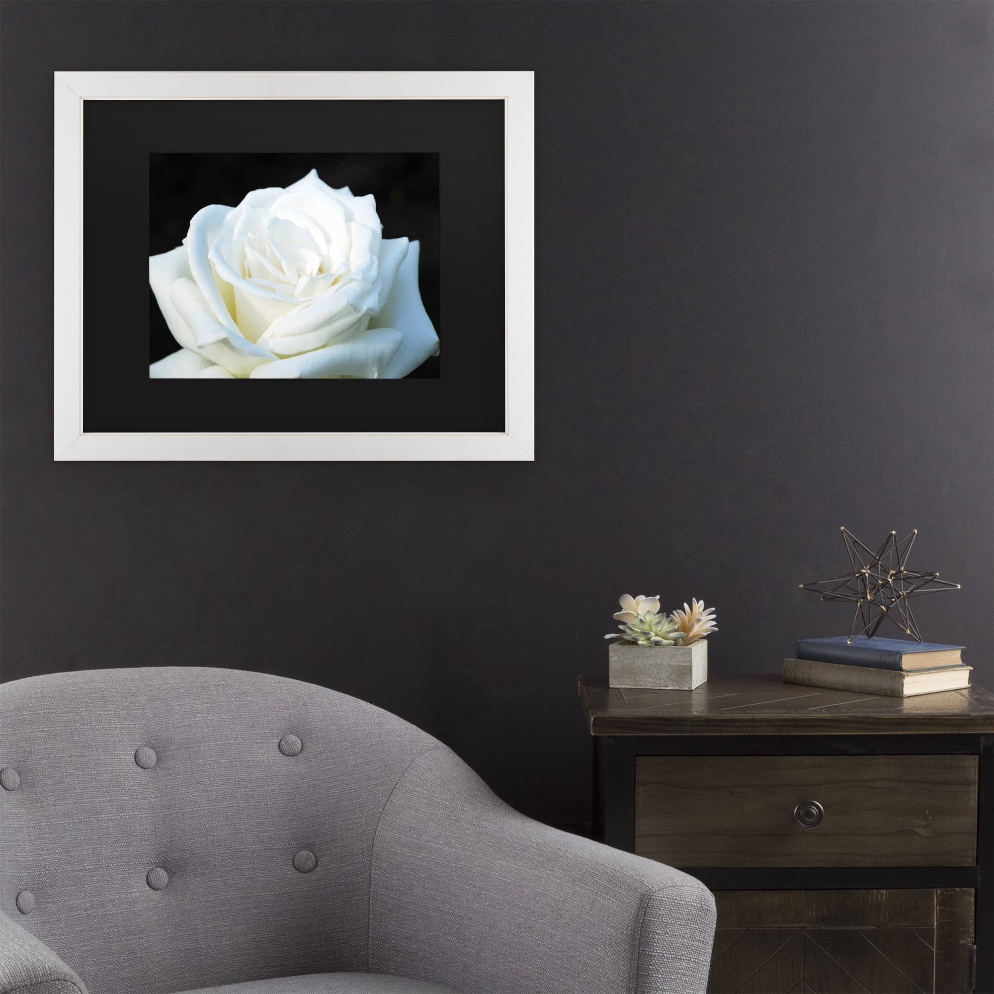 Trademark Fine Art 'White Rose II' Canvas Art by Kurt Shaffer