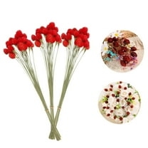 QZS Dry Flower Bundles,Dried Amaranth Flower for Home Decor with Wheat Straw,Portable Floral Arrangement for Home Office Party Garden,30Pack,Red