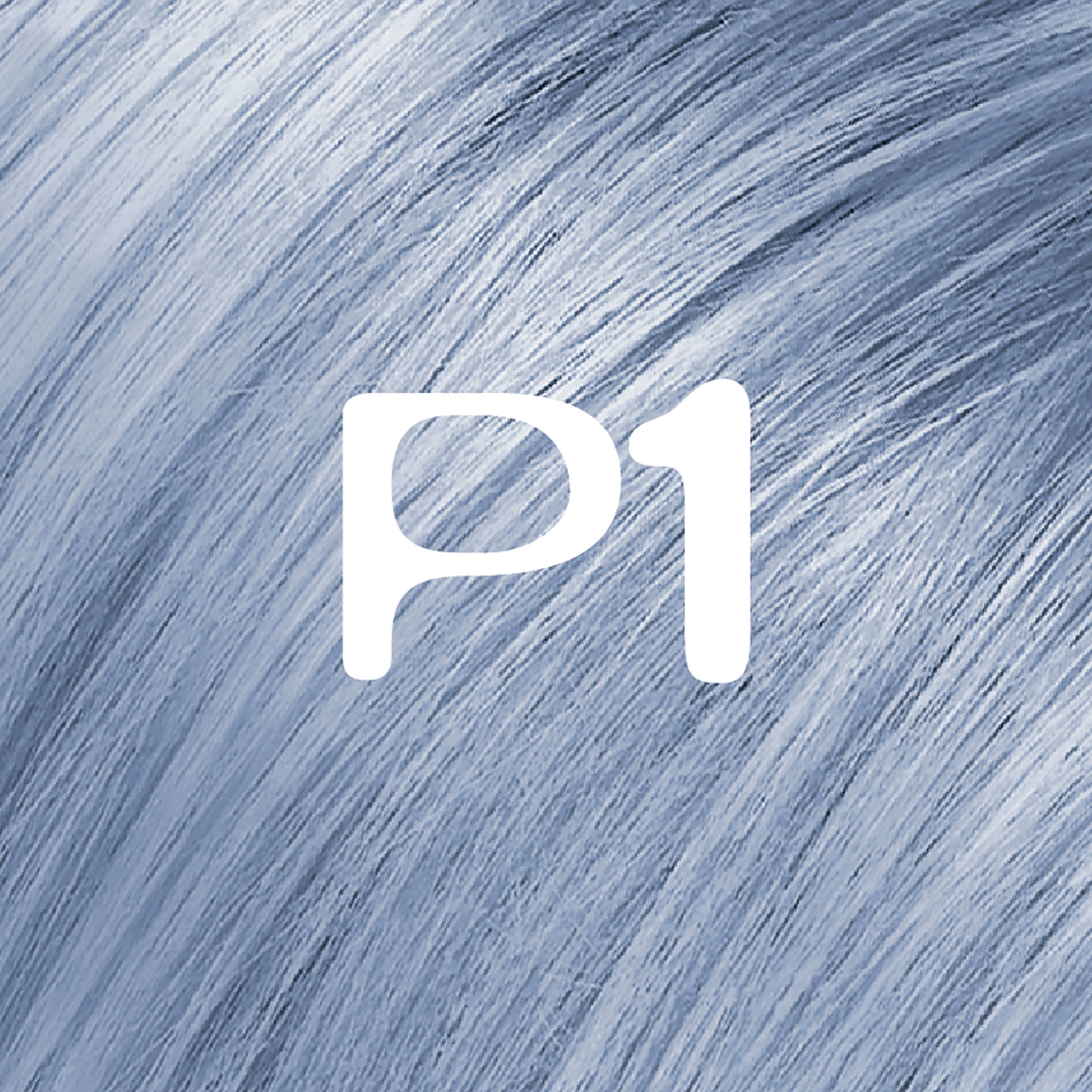 L'Oreal Paris Feria Shimmering Permanent Hair Color, P1 Sapphire Smoke (Smokey Blue), 1 Kit