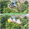 thumbnail image 4 of Ksopiavobs 2pcs Gray Artificial Feathered Birds 6inch Clip on Sparrow Bird Ornaments for Christmas Tree Decoration Wreath Craft Garden Home Decor Party Accessories, 4 of 6