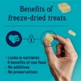 thumbnail image 4 of Stewart Freeze Dried Dog Treats Chicken Breast - Grain Free, Single Ingredient - 3 Ounce, 4 of 7