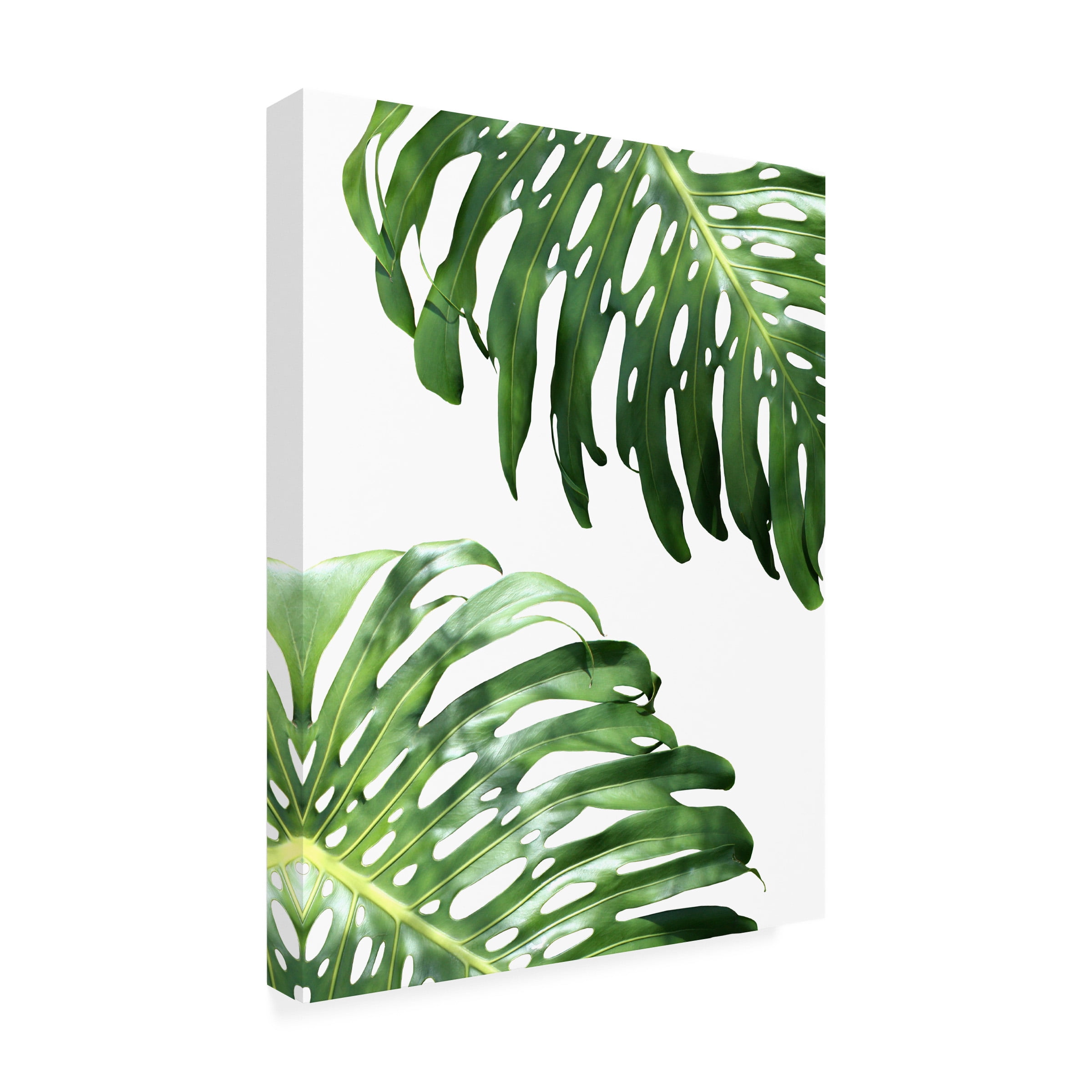 Lexie Greer 'Double Philodendron (color)' Outdoor Canvas
