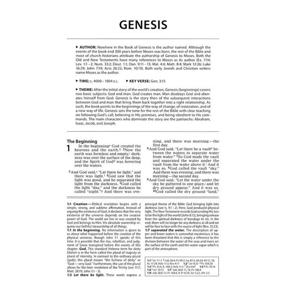 Pre-Owned Foundation Study Bible-NIV: New International Version, Earth Brown Italian Duo-Tone Paperback