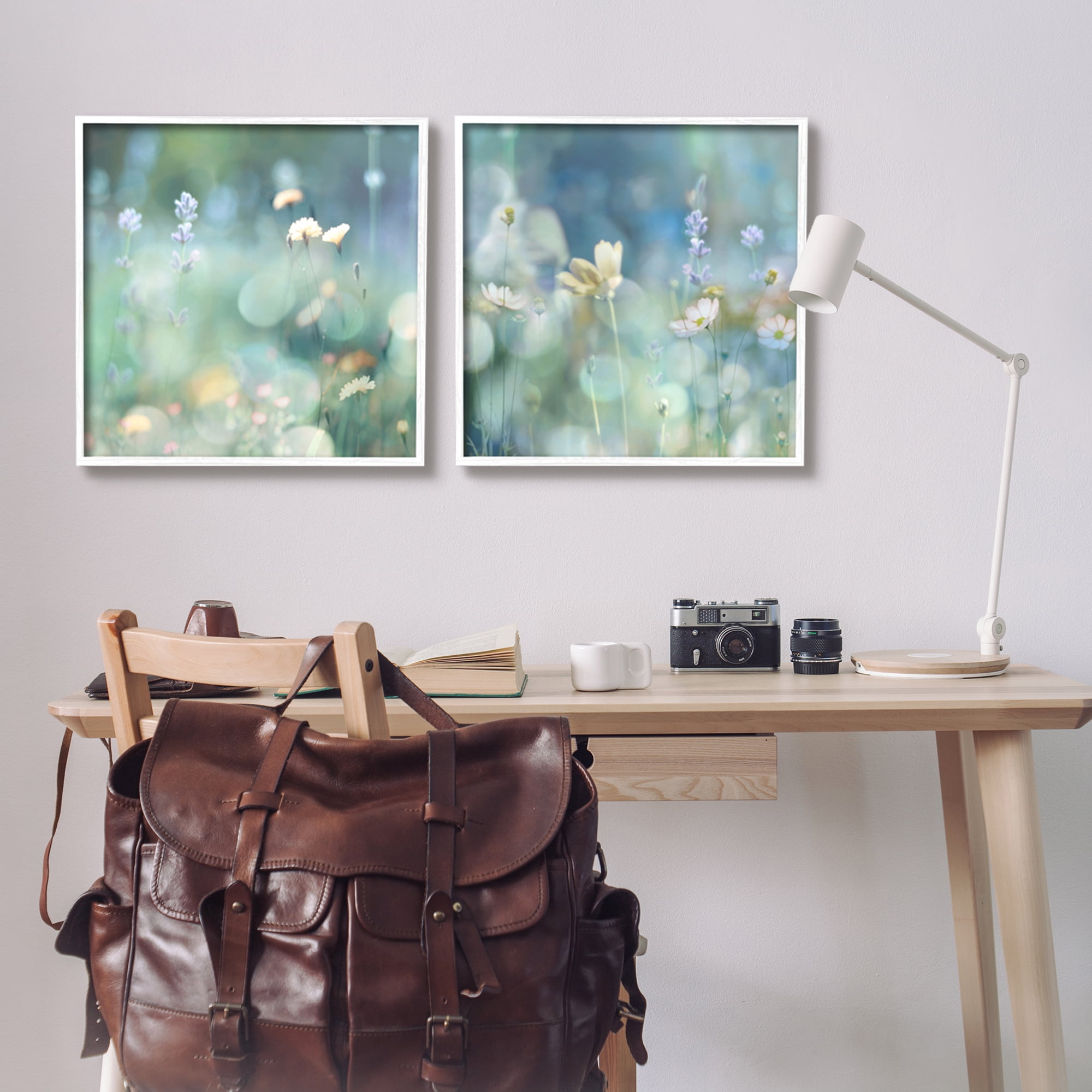 Stupell Industries Sunlit Daisy Field Botanical & Floral Photography White Framed Art Print Wall Art, 24 x 24