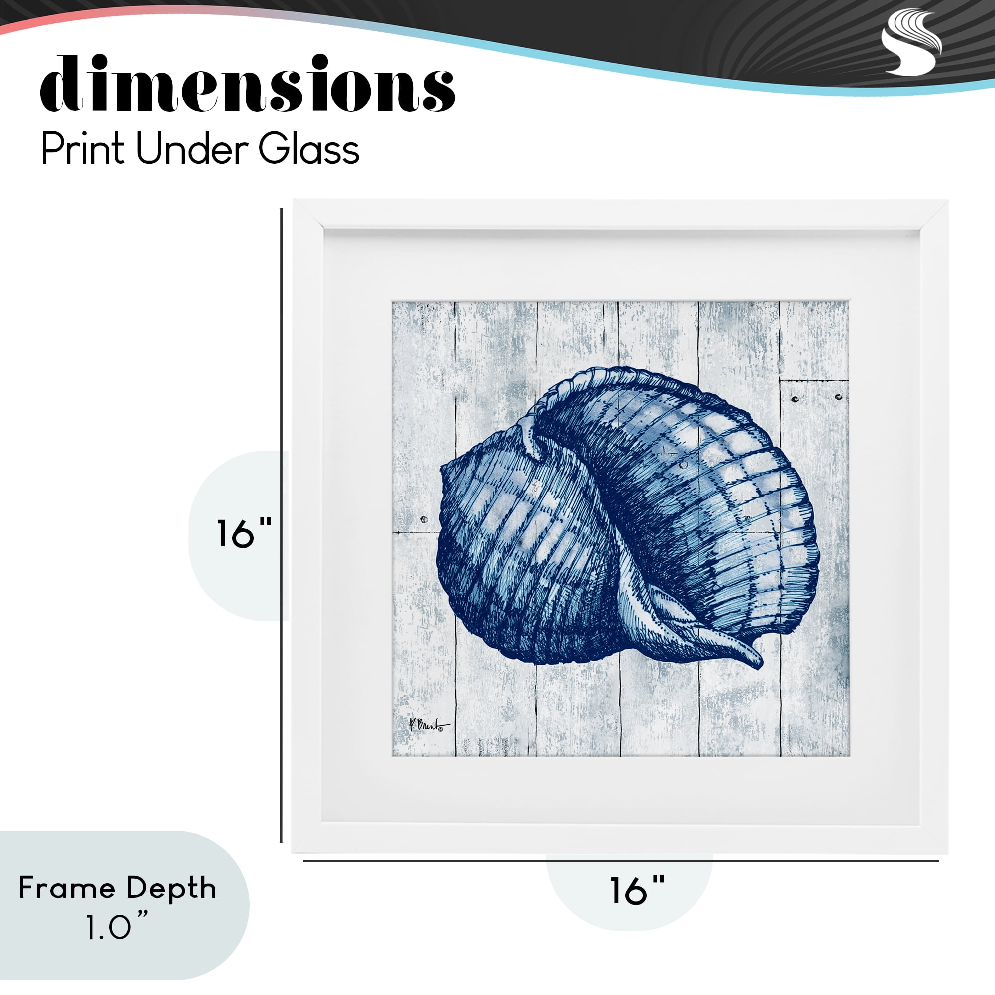 Stupell Industries Coastal Timberland Shell White Framed Print Under Glass, design by Paul Brent