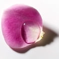 thumbnail image 2 of Toallitas limpiadoras desmaquillantes Olay Cleanse Rose 25x3, 2 of 8