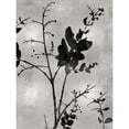 thumbnail image 3 of Carson, Danielle 15x18 Black Modern Framed Museum Art Print Titled - Nature Silhouette Silver II, 3 of 5