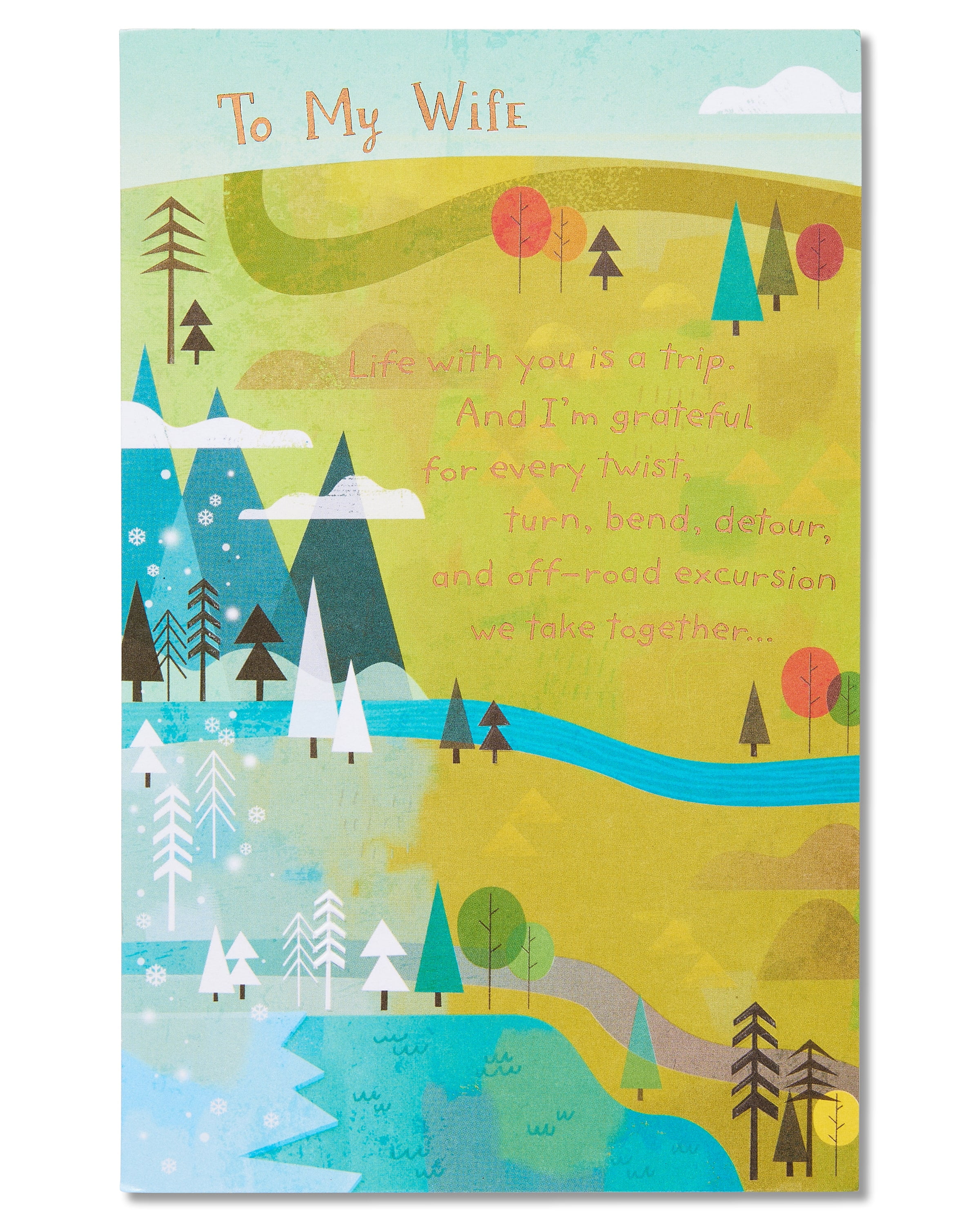 American Greetings Anniversary Card for Wife (Life is a Trip)