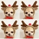 thumbnail image 1 of Sudadera con capucha para perros- Suéter básico para perros Abrigo Lindo Forma de rana Chaqueta cálida Mascota Ropa de clima frío Ropa exterior para gatos Cachorro (Elk, 2XL) brillar Electrónica, 1 of 6