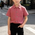 thumbnail image 6 of XuJwPNcy Little Boys Button Down Shirts Short Sleeve Comfy Plaid Tops Infant Collar T-Shirts Kids Summer Outfits with Pocket, 6 of 7