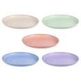 thumbnail image 4 of BESTONZON 5pcs Wheat Straw Plates Unbreakable Reusable Plate Set Perfect Dinner Dishes Bone Collection Plates, 4 of 8
