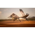thumbnail image 2 of Zhang, Joan 18x12 White Modern Wood Framed Museum Art Print Titled - Flying over, 2 of 4