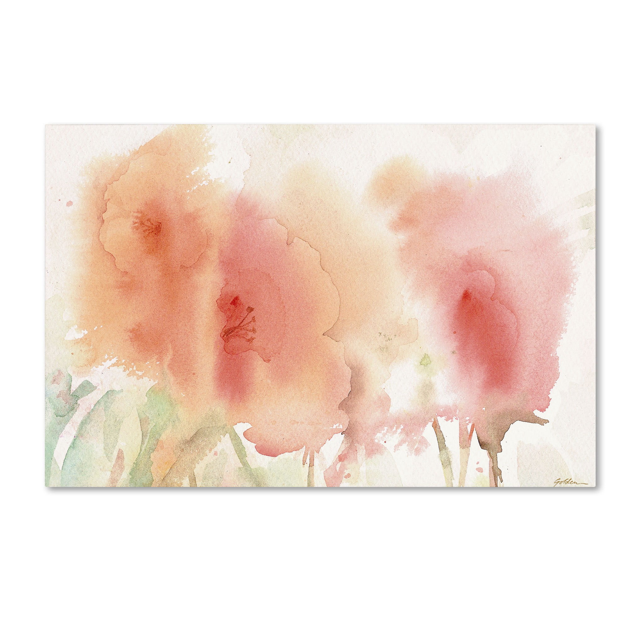 Trademark Fine Art "Coral Composition" Canvas Art by Sheila Golden