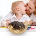 thumbnail image 3 of Attractive Simulation hatches Dinosaur Cub Educational Model Doll Children Gift., 3 of 9
