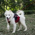 thumbnail image 4 of WINDLAND Dog Self-Wearing Backpack Adjustable Vest Saddle Bag Backpack for Traveling Travel Camping Hiking Dog Saddlebag, 4 of 14