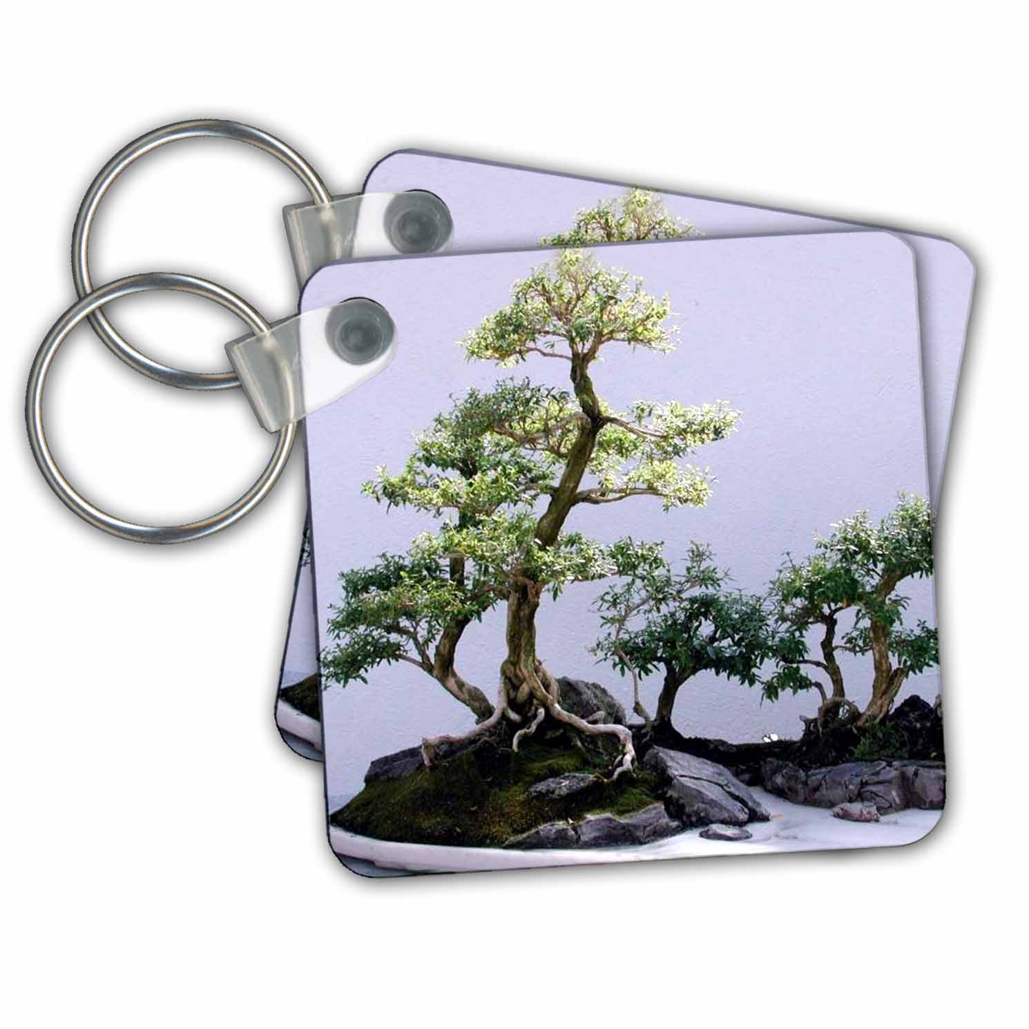 Bonsai Tree set of 2 Key Chains kc8631
