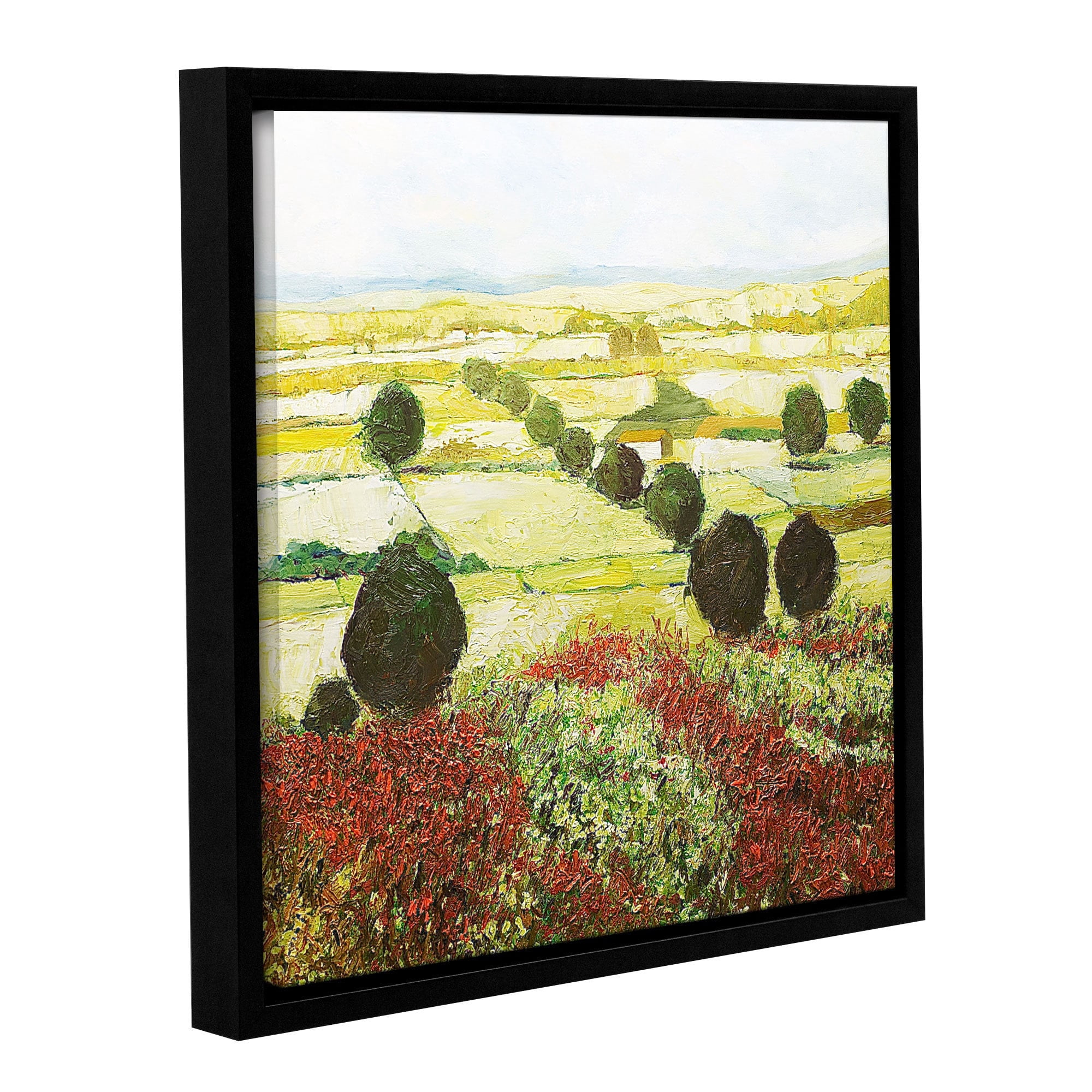 ArtWall Allan Friedlander "Wildflower Valley" Gallery-wrapped Floater-framed Canvas