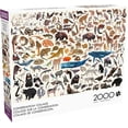 thumbnail image 1 of Buffalo Games - Kara Mohr - Collage de conservación - Rompecabezas de 2000 piezas para adultos - Rompecabezas desafiante perfecto para noches de juegos - El tamaño final es 38.50 x 26.50, 1 of 8