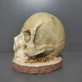 thumbnail image 4 of Skull Knife Holder Resin Skeleton Knife Stand Scary Storage Rack for Kitchen, 4 of 7