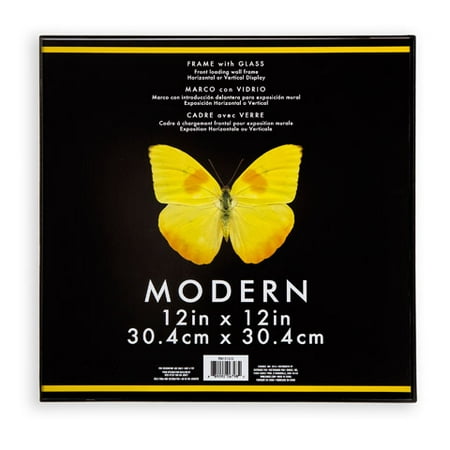 Darice Modern Frame: Plastic & Glass, Black, 12 x 12 inches