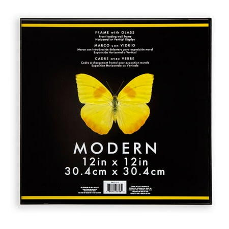 Darice Modern Frame: Plastic & Glass, Black, 12 x 12 inches